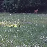 Nase Vase Domcek Pod Starym Mestom Banská Štiavnica