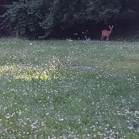 Nase Vase Domcek Pod Starym Mestom Banská Štiavnica